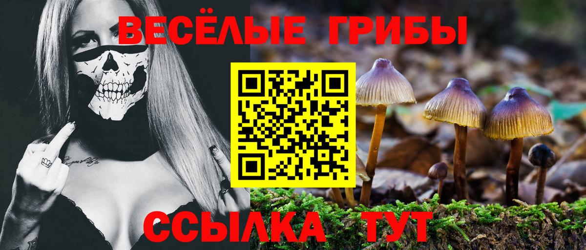 Галлюциногенные грибы Psilocybine cubensis  Галлюциногенные грибы Cubensis  Вход с VPN  Самара 